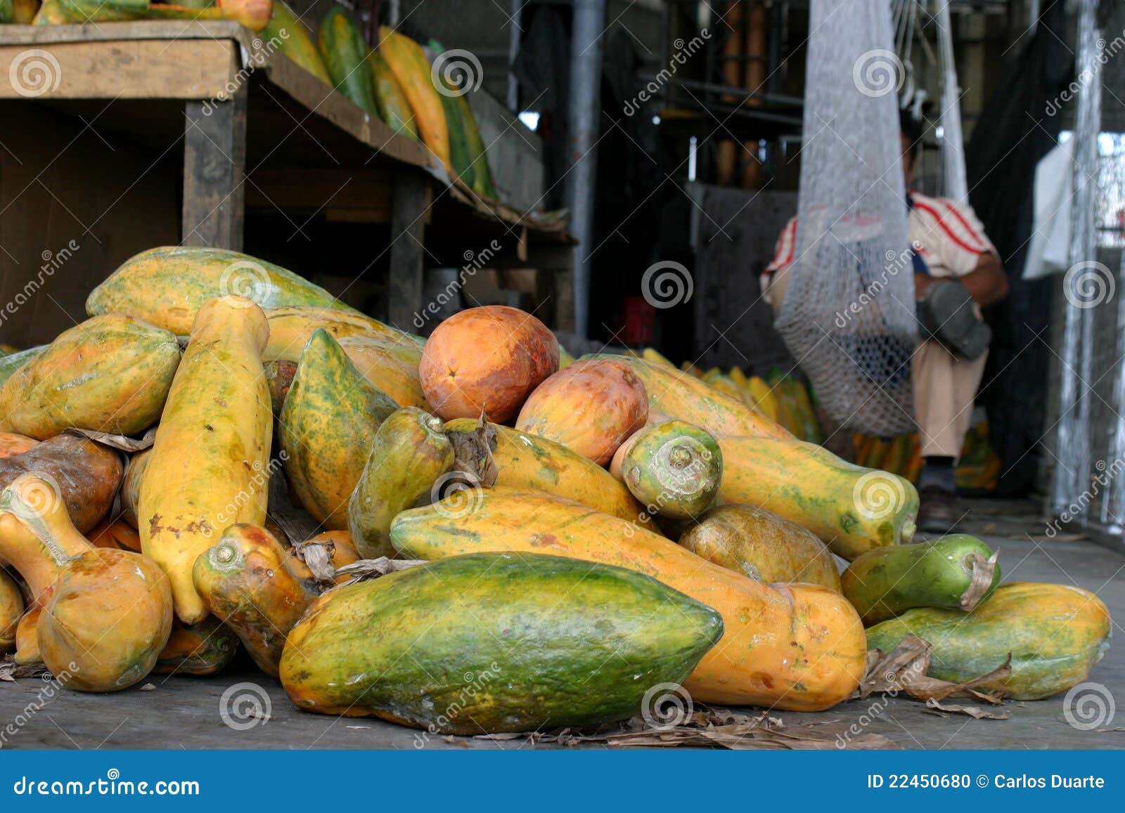 Papayas in Market stock photo. Image of papayas, economy 22450680