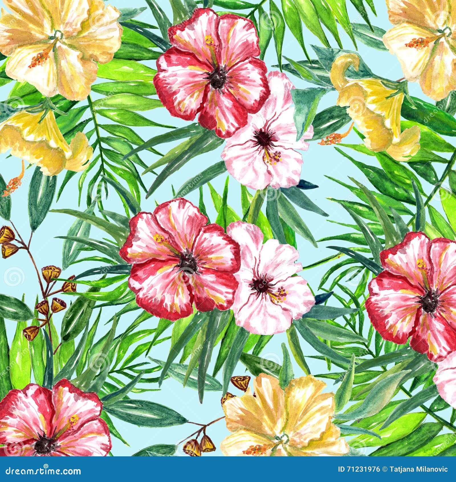 Papel Digital De La Flor Tropical Stock de ilustración - Ilustración de  wallpaper, floral: 71231976