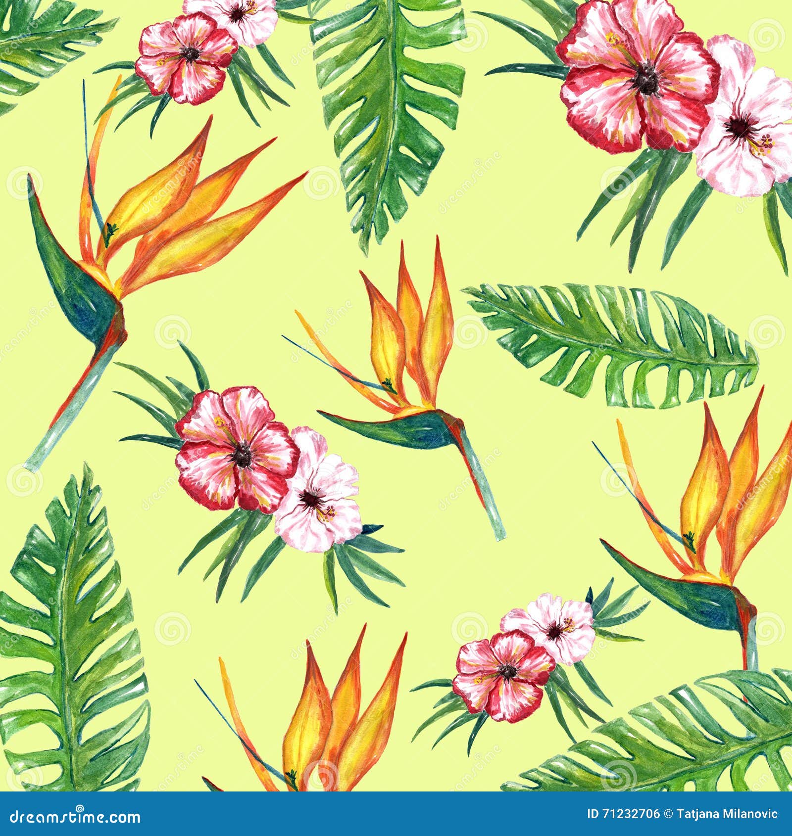 Papel Digital De La Flor Tropical Stock de ilustración - Ilustración de  acuarela, flor: 71232706
