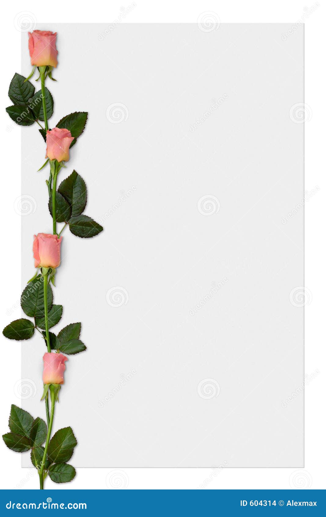 Paper 5 stock illustration. Illustration of rose, sheet - 604314