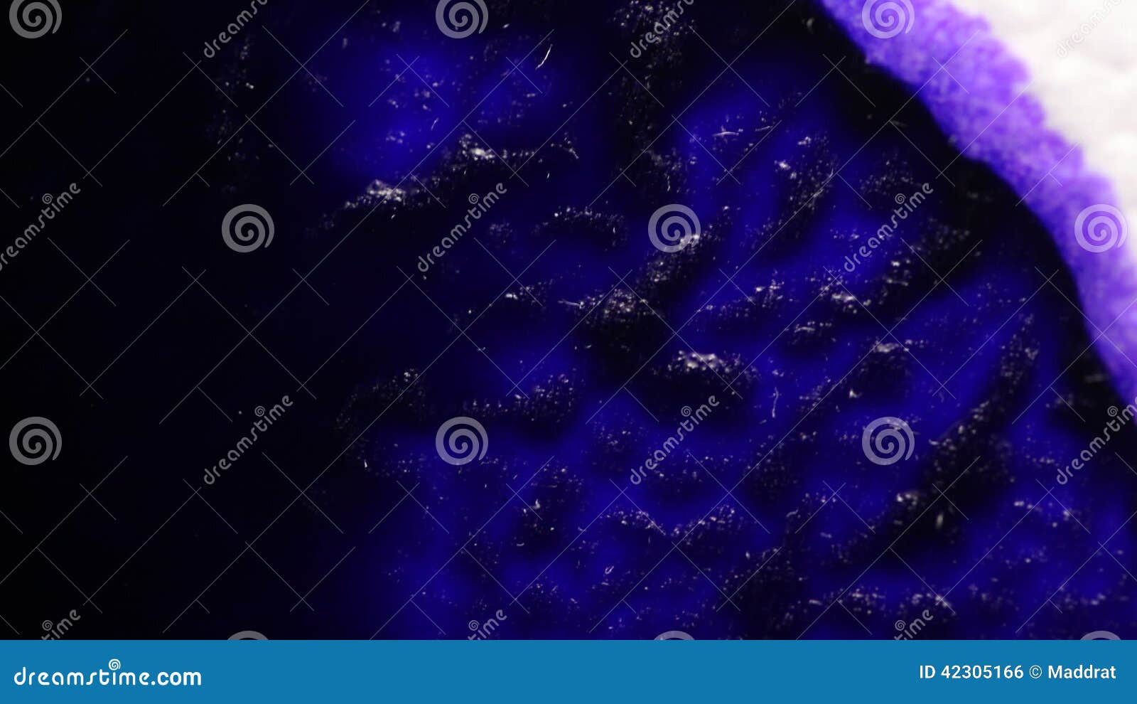 Paper Absorbs Ink Paint. Macro. Stock Footage Video of abstract