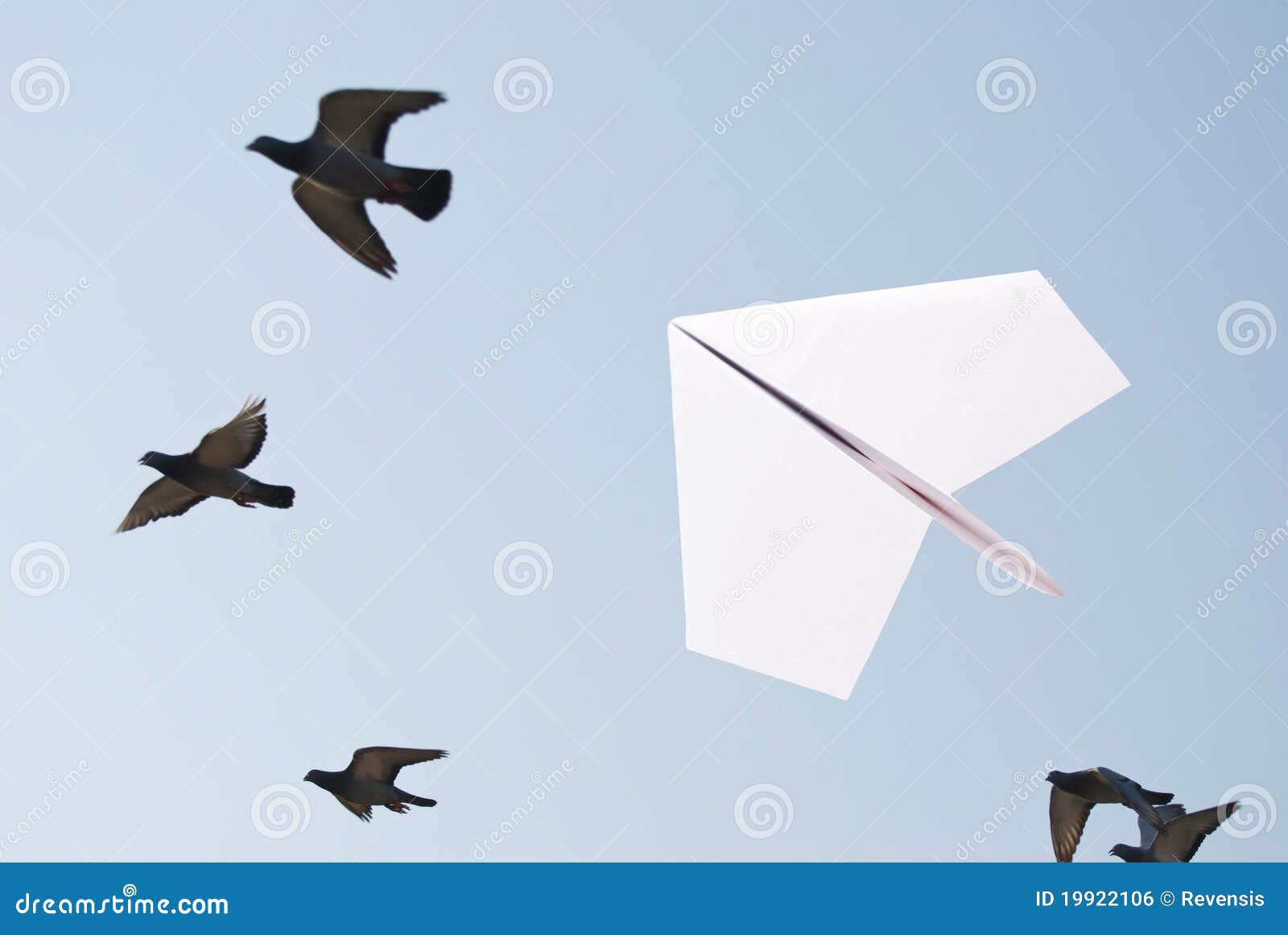 Paper Airplane Flying with Birds Stock Photo - Image of hand, game ...