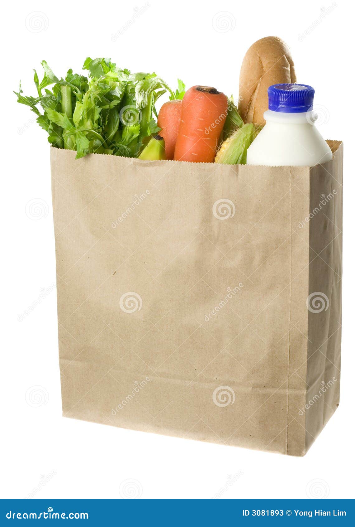 paper bag full of groceries