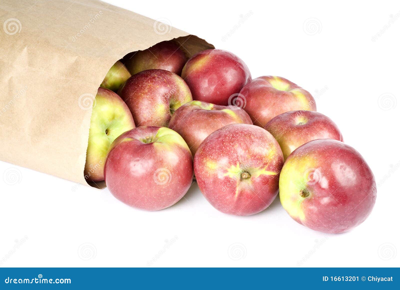 paper bag full of macintosh apples on its side