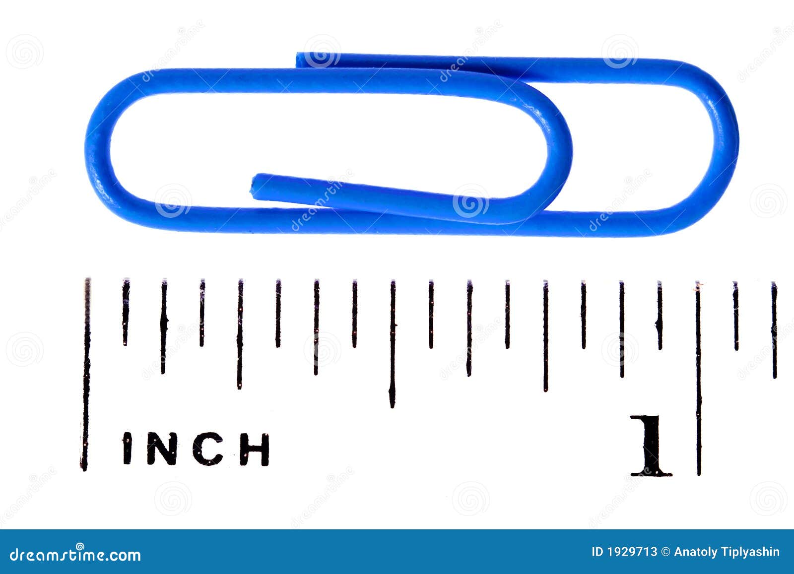 Paper Clip Scale Inch Stock Photos - Image: 1929713