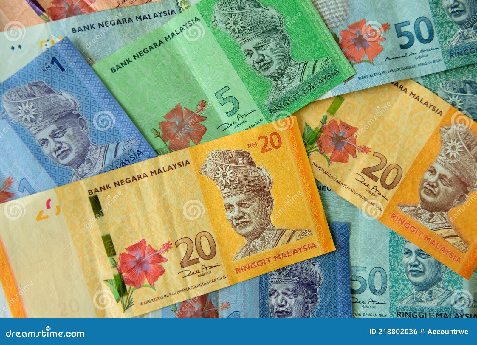 Валюта малайзии к рублю. Валюта Малайзии. Малазийская валюта. Малайзийский ринггит символ. Negara Malaysia валюта.