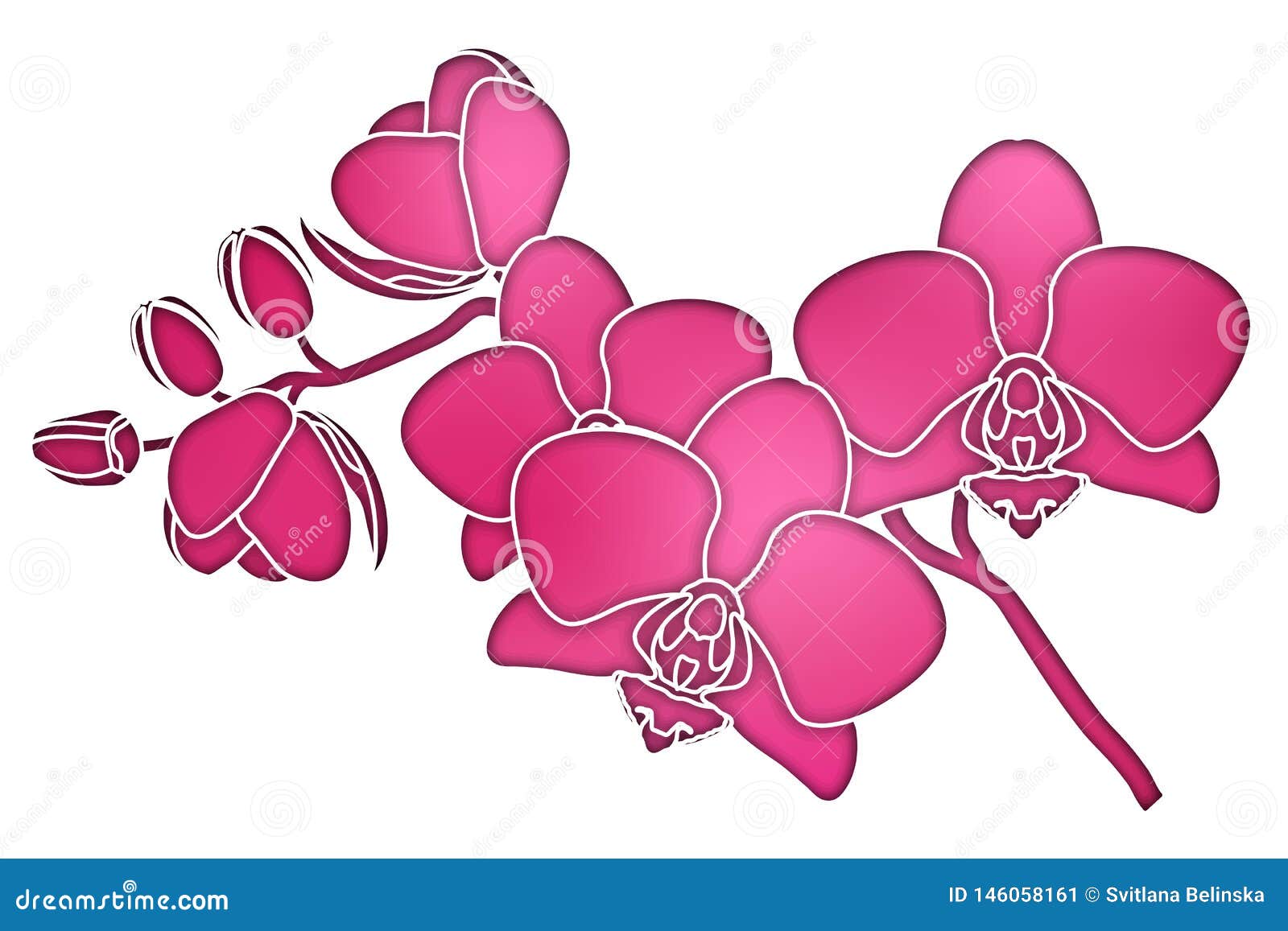 Эскиз орхидеи для логотипа