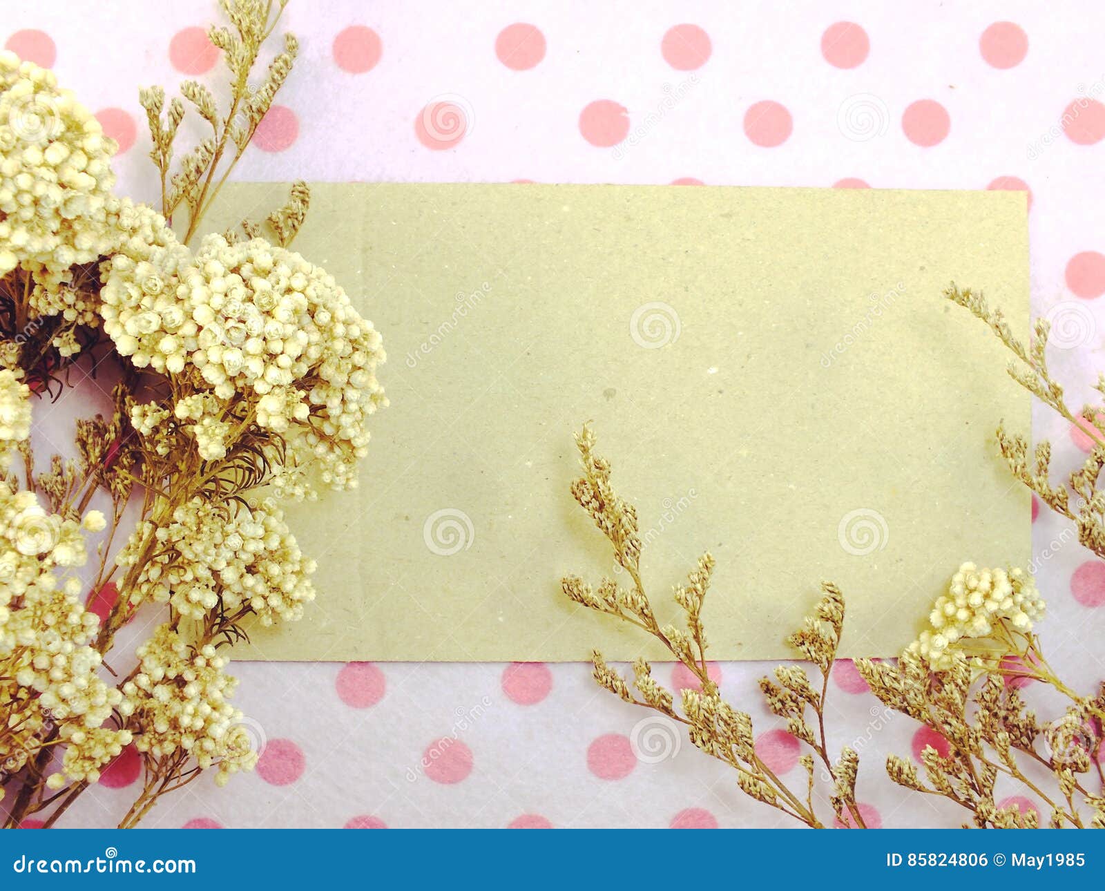 Paper with Dried Flowers and Space Copy Background Stock Photo Image