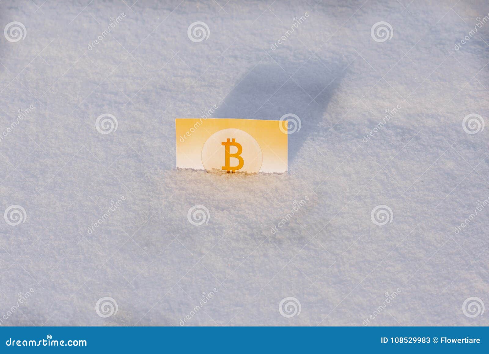 Paper Gold Money Bitcoin In The Snow In Winter. Frozen ...