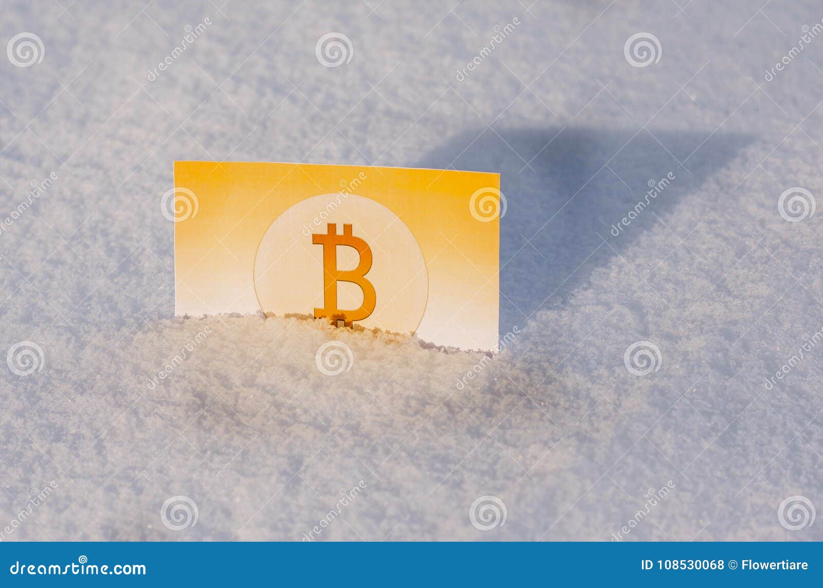 Paper Gold Money Bitcoin In The Snow In Winter. Frozen ...