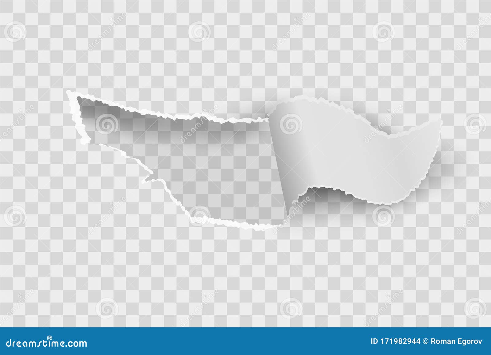 paper hole. realistic torn blank rip edge banner. tear off paper curled piece  on transparent background. 