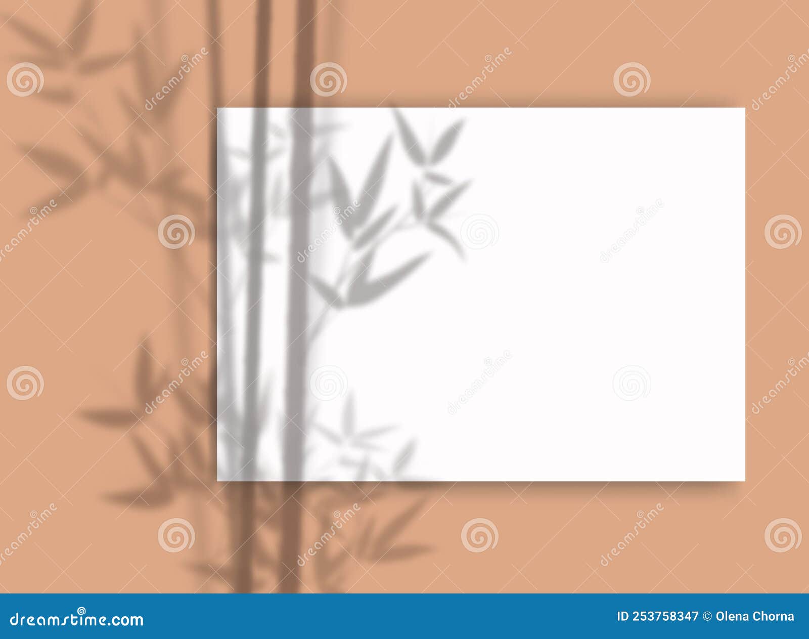 download bamboo paper for windows download bamboo paper for windows