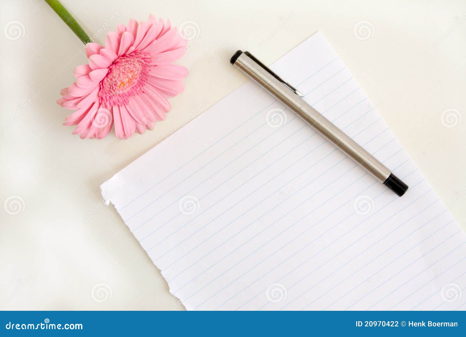 paper for pen writing paper with pen and flower stock photography image 20970422 paper for pen writing paper with pen and flower stock photography image 20970422