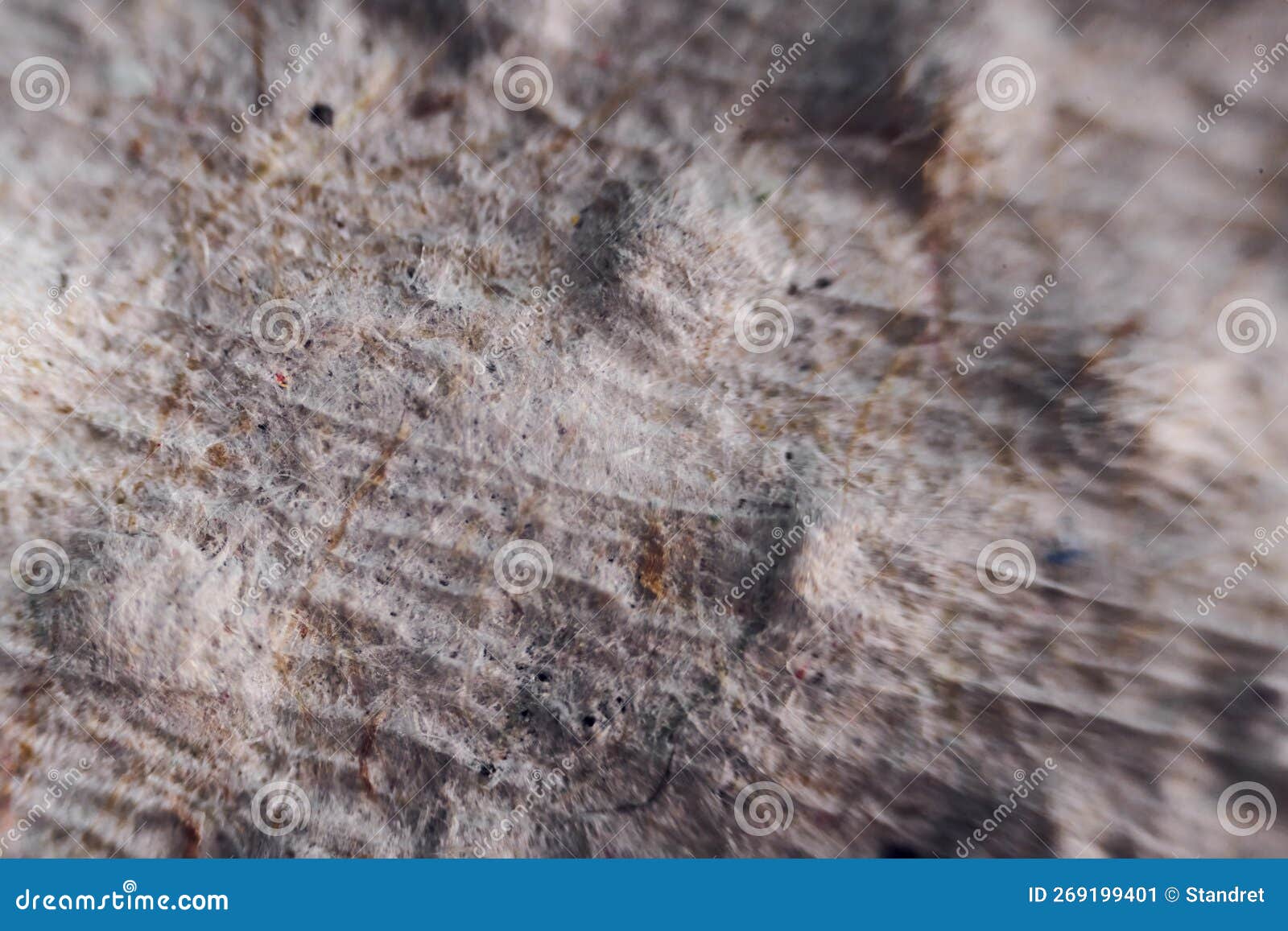 Paper Sheet Under the Microscope. Close Up View Stock Image Image of