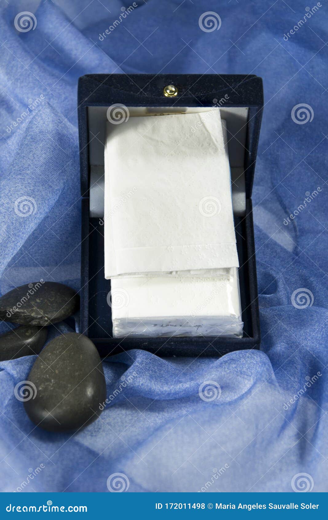 Paper tissue set. stock photo. Image of tissues, handkerchiefs 172011498