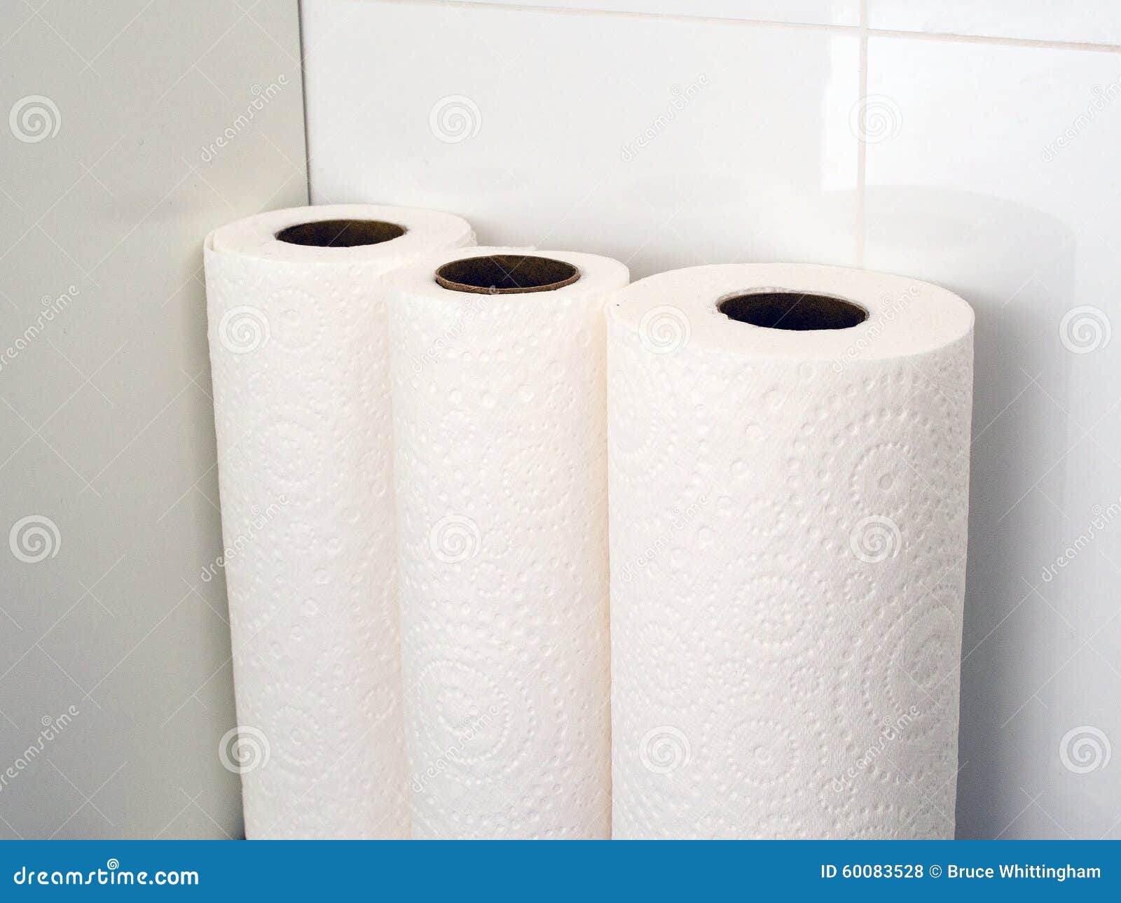 Paper Towel Rolls stock photo. Image of bathroom, partly 60083528