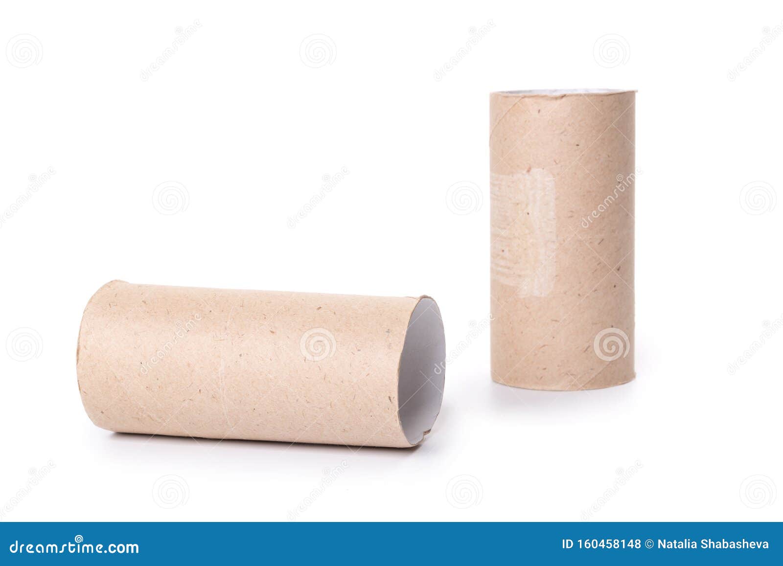 Paper Tube of Toilet Paper, Isolated on White Background Stock