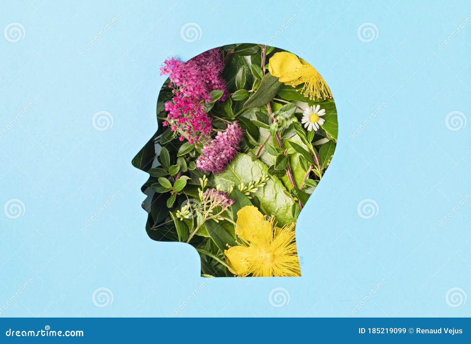 papercut head with green leaves and flowers. mental health, emotional wellness, contented emotions, self care, psychology, green