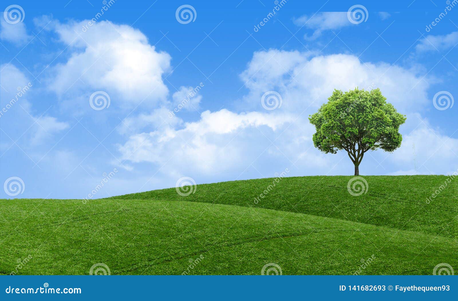 Télécharger gratuitement Images Papier Peint Scenique De Vue De Paysage Vert D Ete Arbre Solitaire dernière par