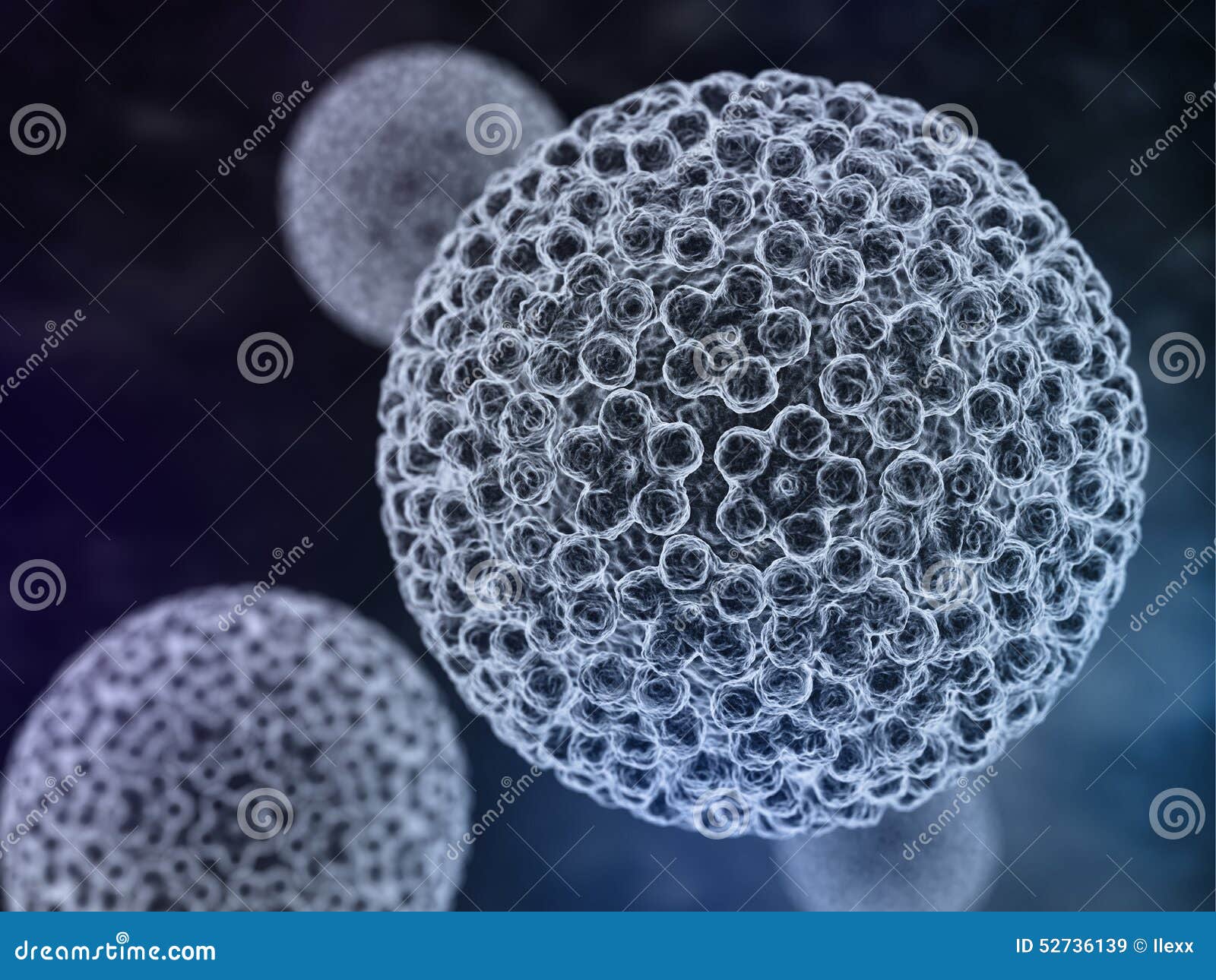 Virusul Papiloma Uman − implicaţii neonatale - Papilloma virus familia