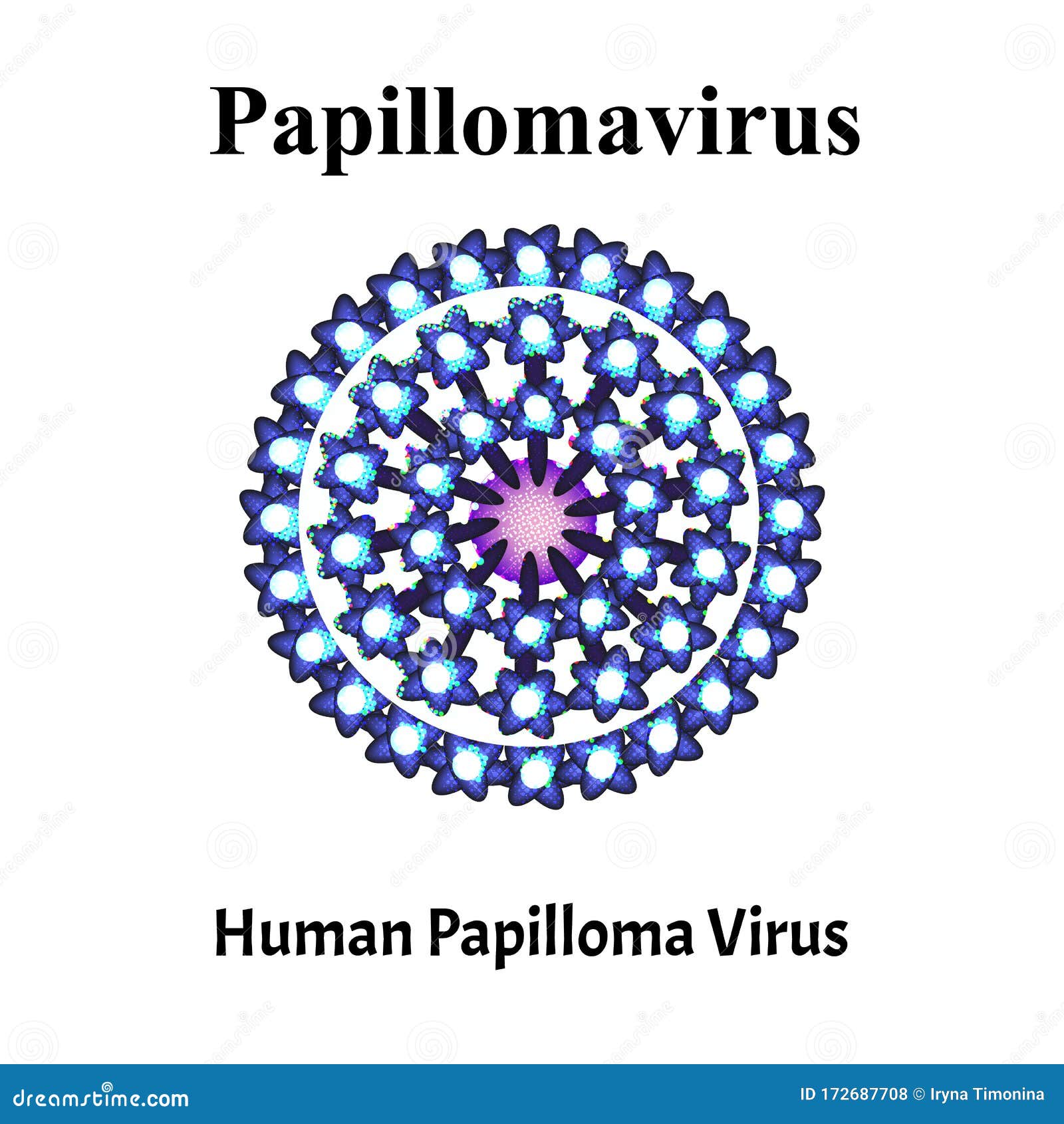 papillomavírus ist