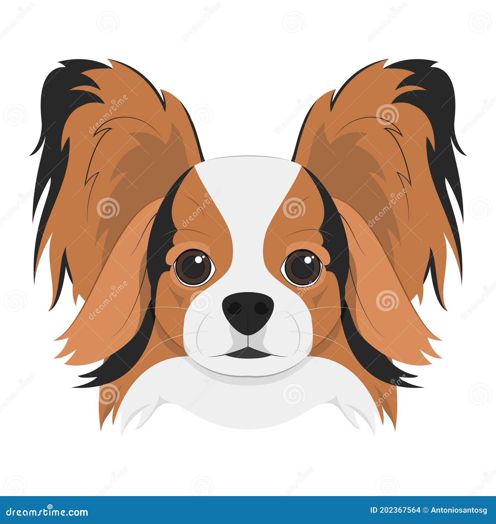 Papillon Dog Isolated On White Background Cartoon Vector