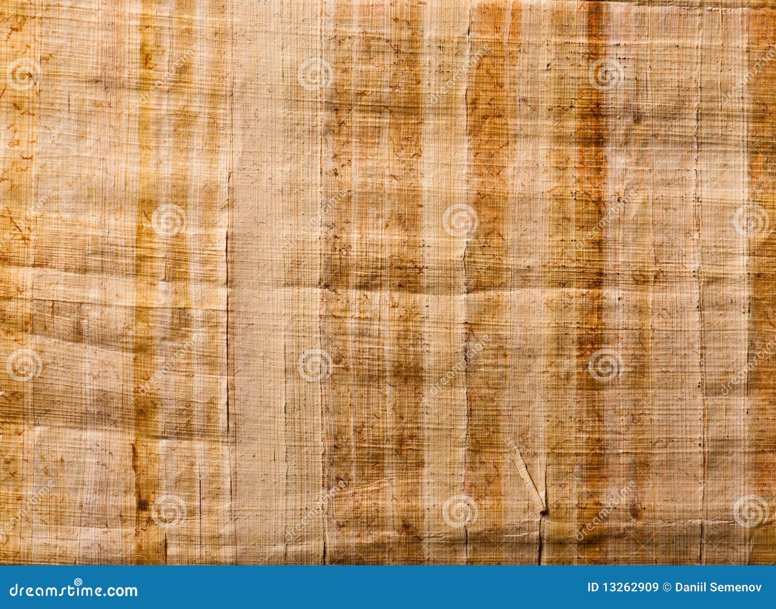 Papiro 3. Struttura beige naturale del papiro di rilievo
