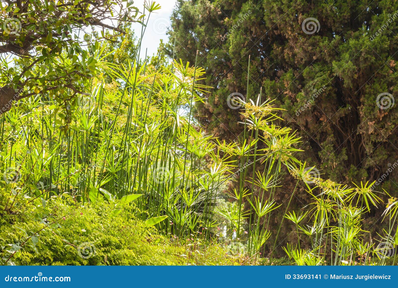 Rivestimenti E Carta Da Parati Per Il Bagno: I Trend 2022