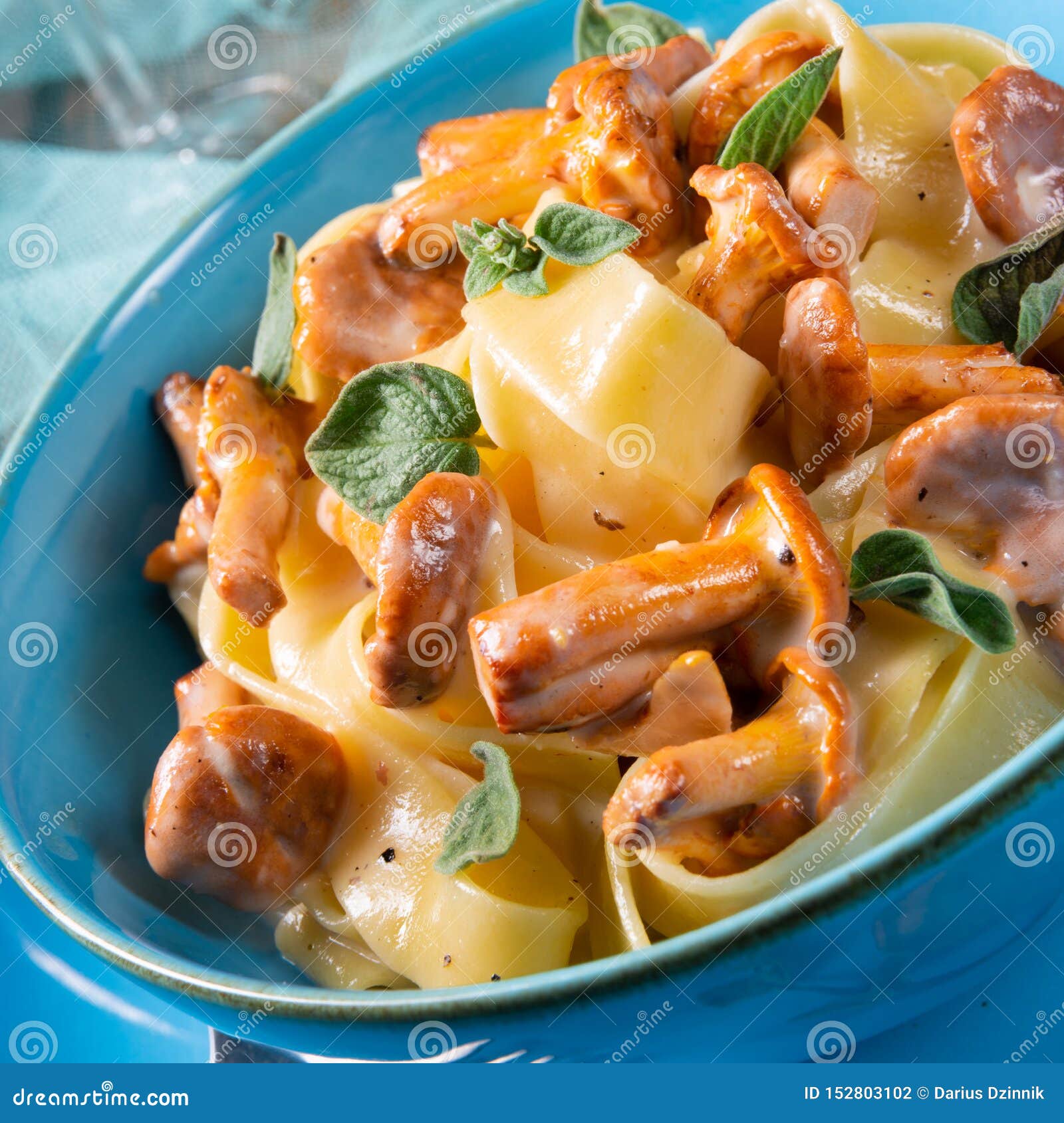 Pappardelle with Cheese Sauce and Fresh Chanterelles Stock Photo Image of fettuccine, gravy