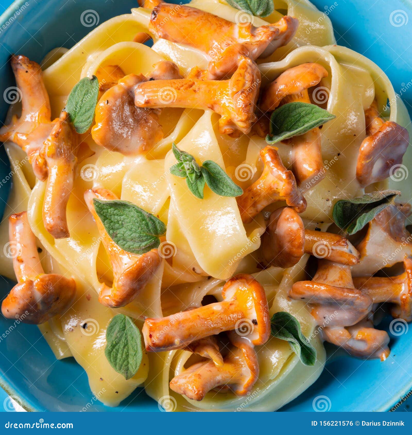 Pappardelle with Cheese Sauce and Fresh Chanterelles Stock Photo Image of gravy, meatless