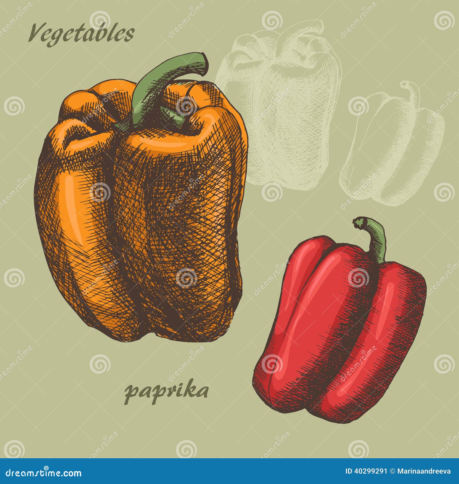 Paprika colour stock vector. Illustration of vintage 40299291