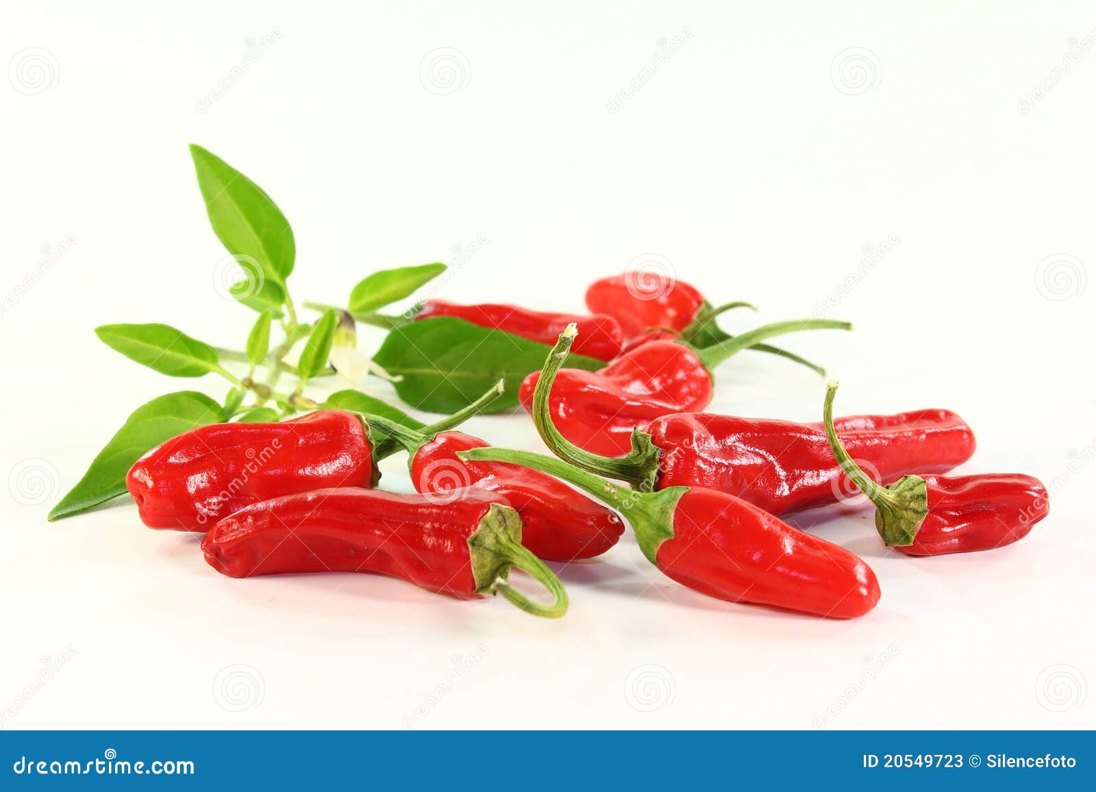 Paprika de la especia imagen de archivo. Imagen de sabor 20549723