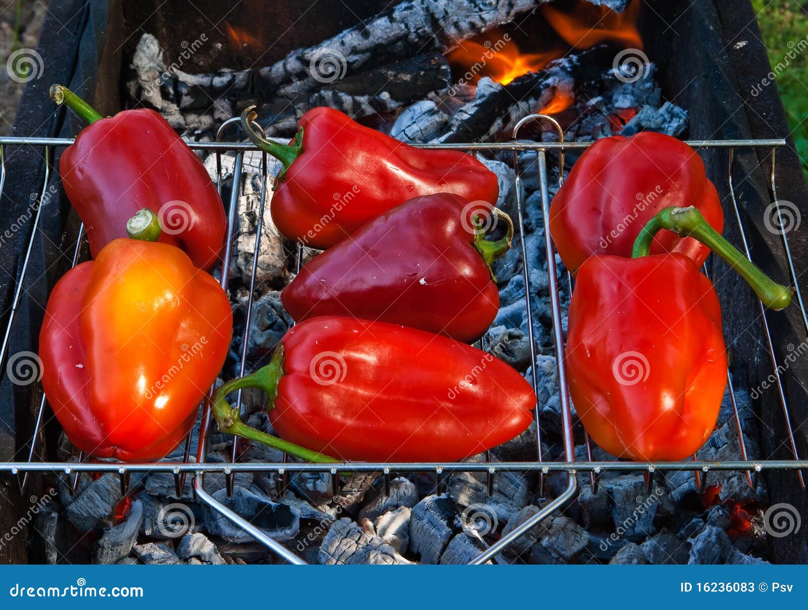 Paprika on grill stock image. Image of food, spice, barbecue 16236083