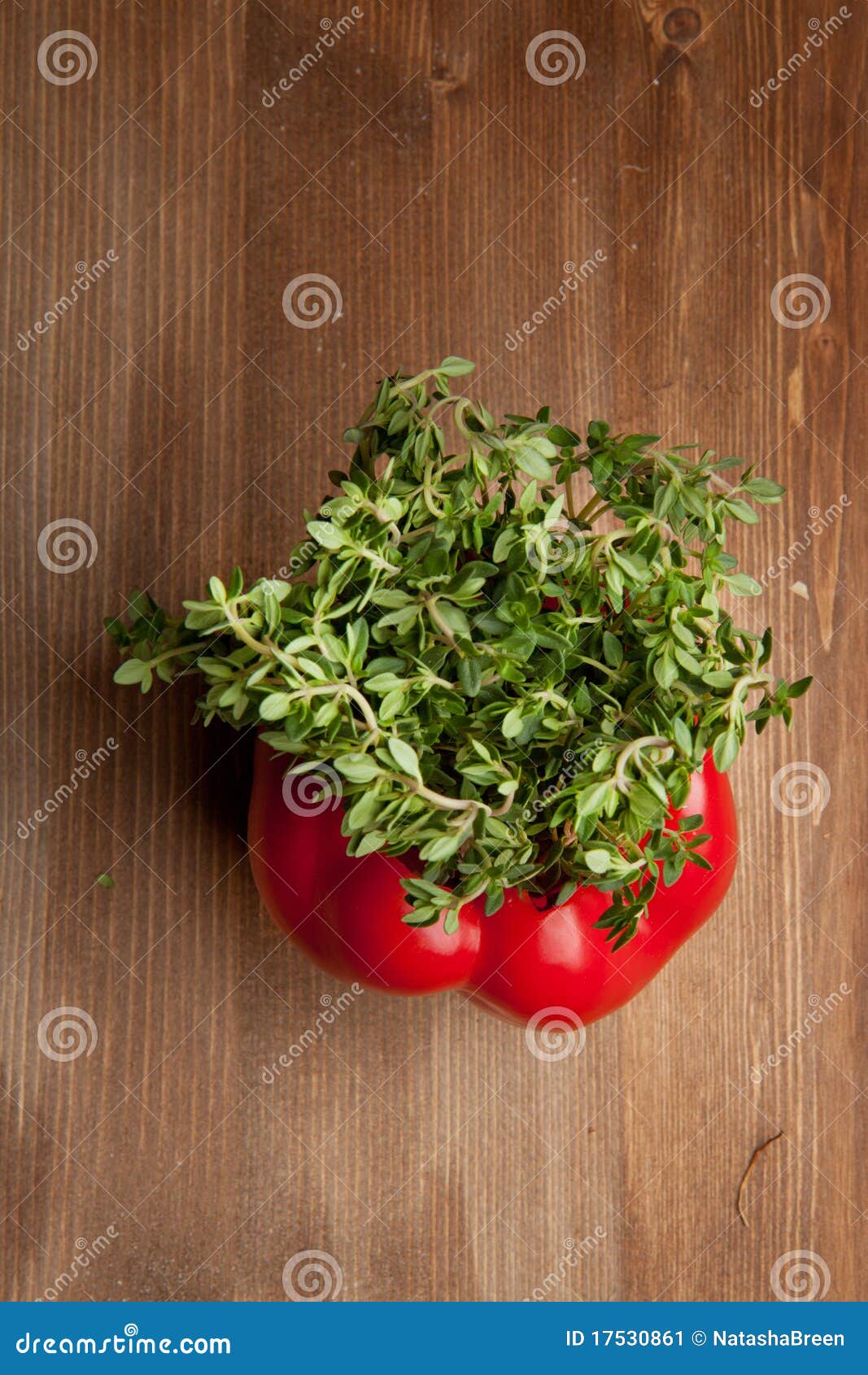 Paprika with the herb stock image. Image of product, nutrition 17530861