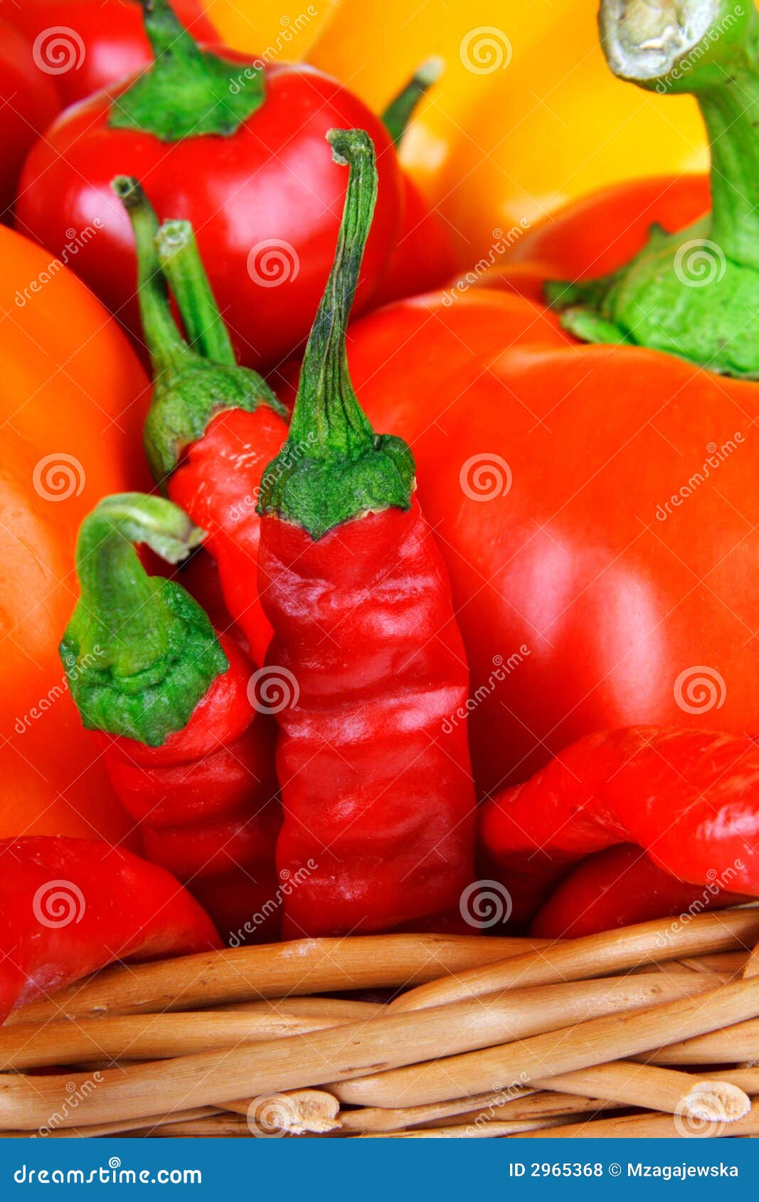 Paprika mix stock photo. Image of oriental, healthy, india 2965368