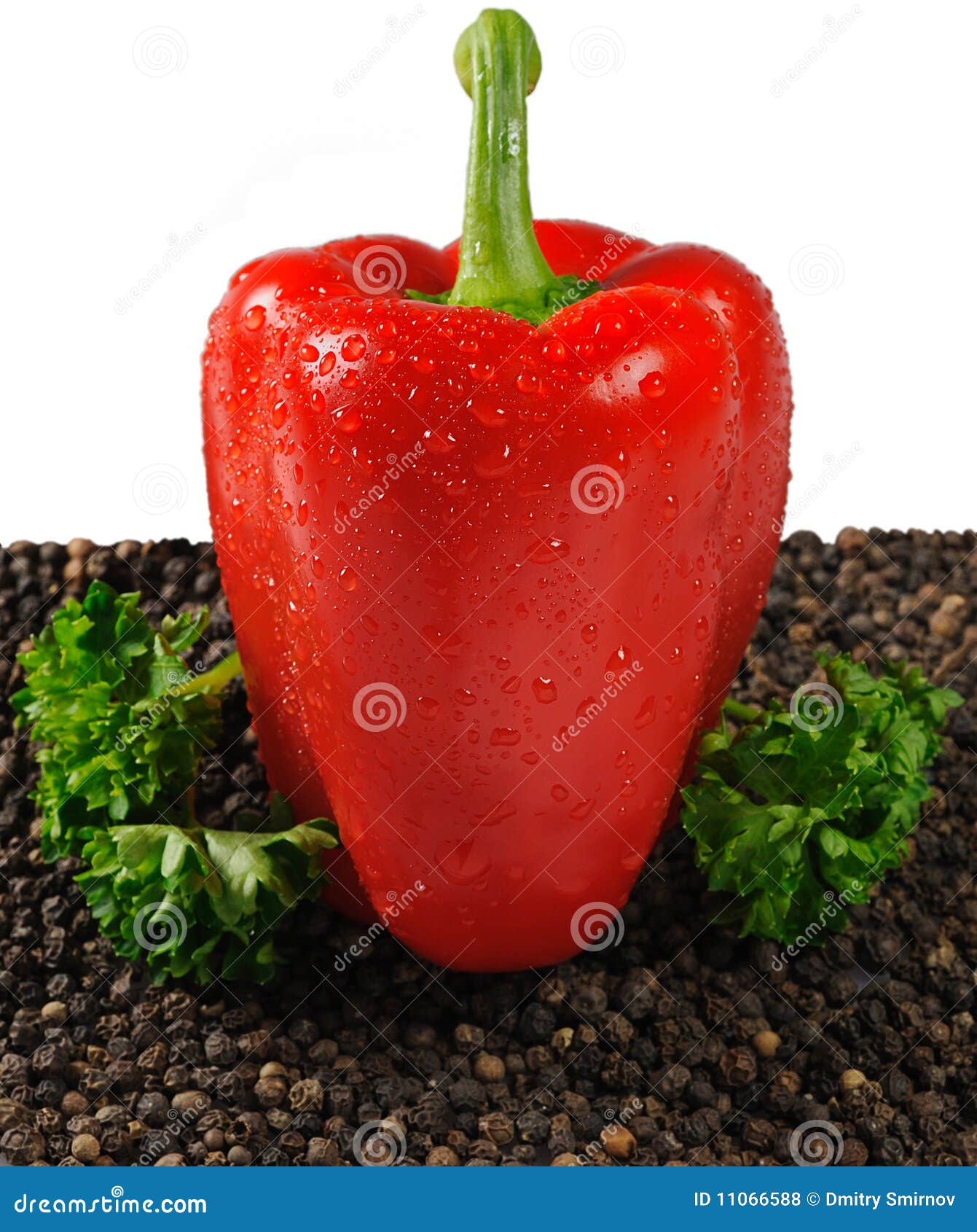 Paprika and pepper stock photo. Image of eating, herbs 11066588