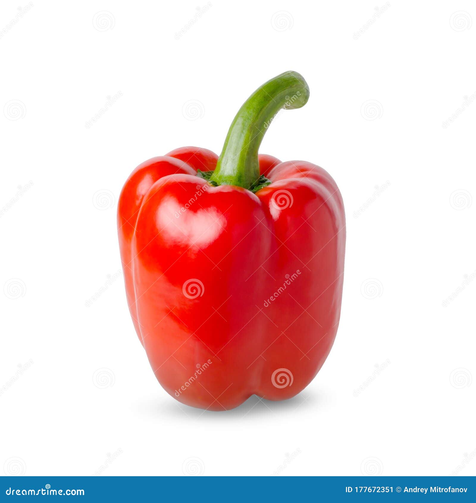 Paprika. Red bell pepper stock image. Image of white 177672351