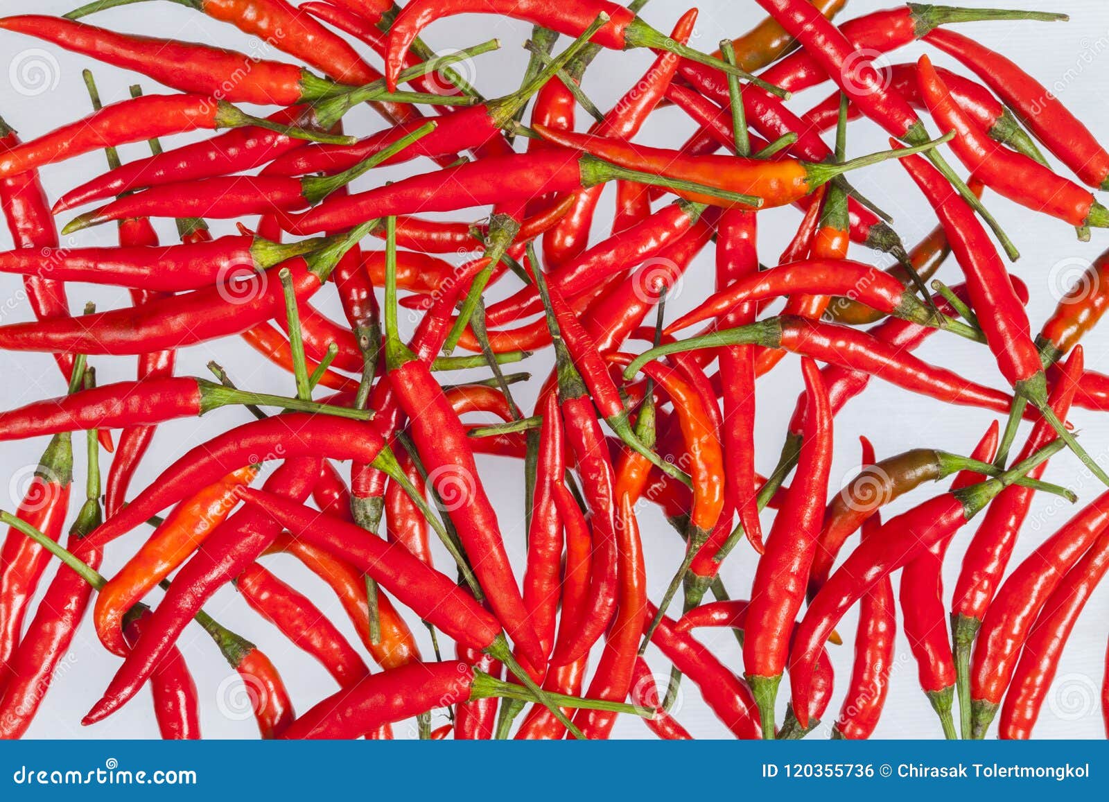 The paprika stock photo. Image of fresh, composition 120355736