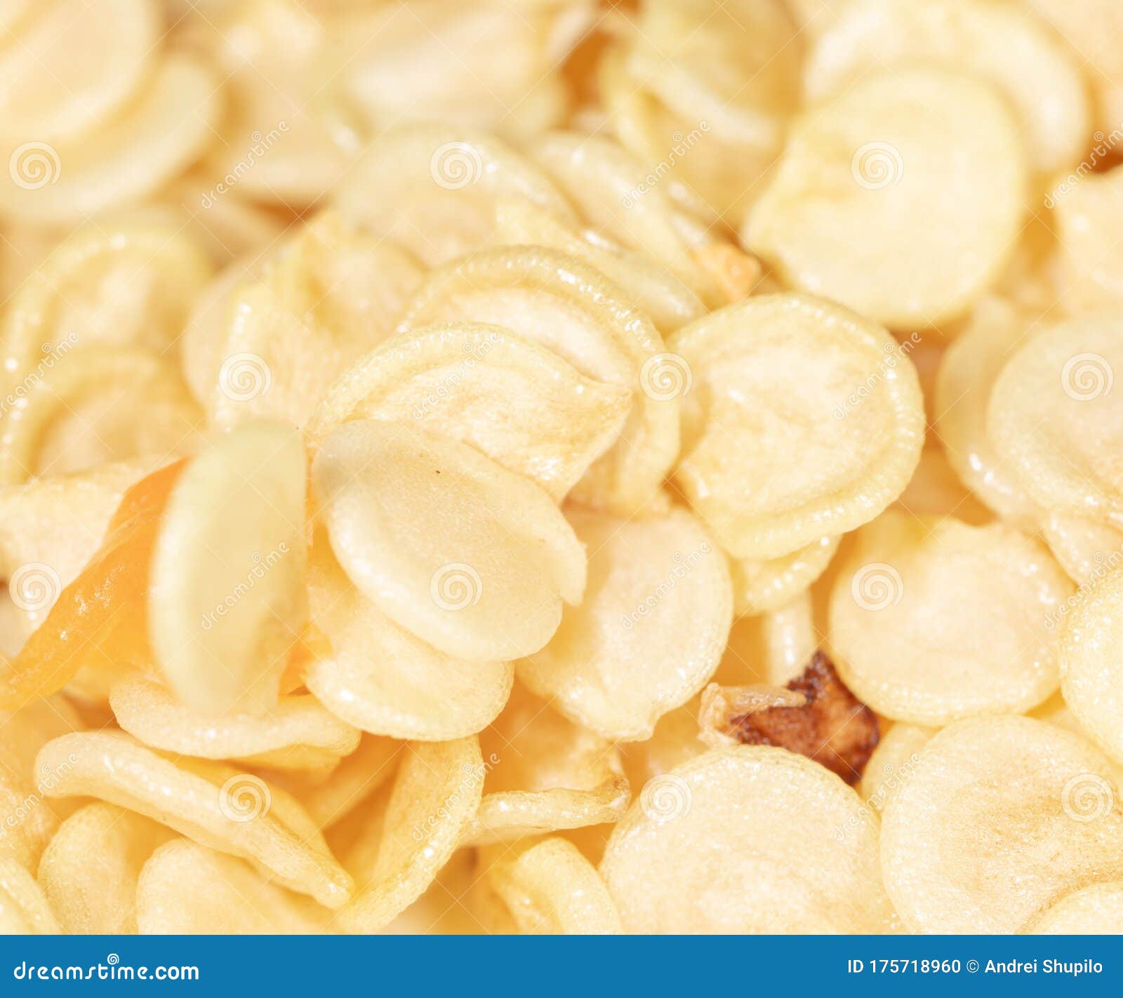 Paprika Seeds As a Background Stock Photo Image of vegetable