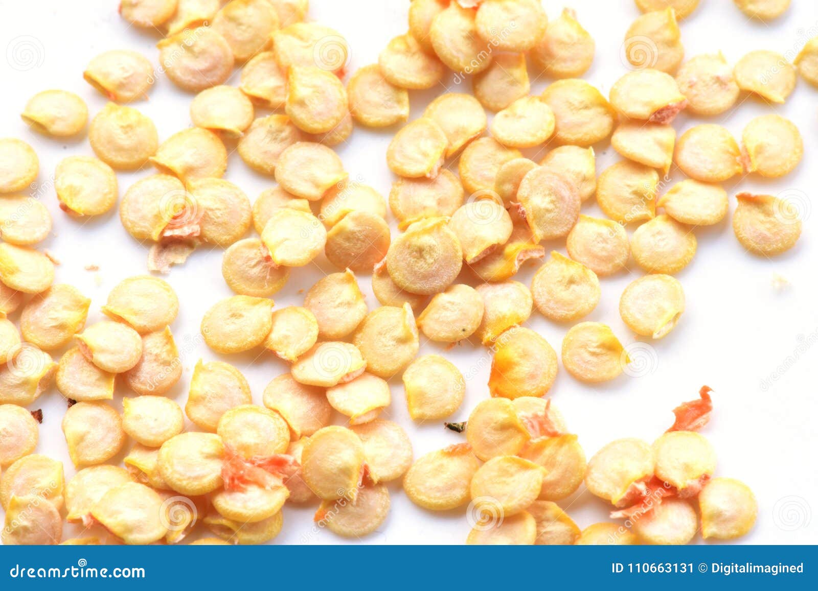 Paprika Vegetable Seed Closeup Stock Image Image of background