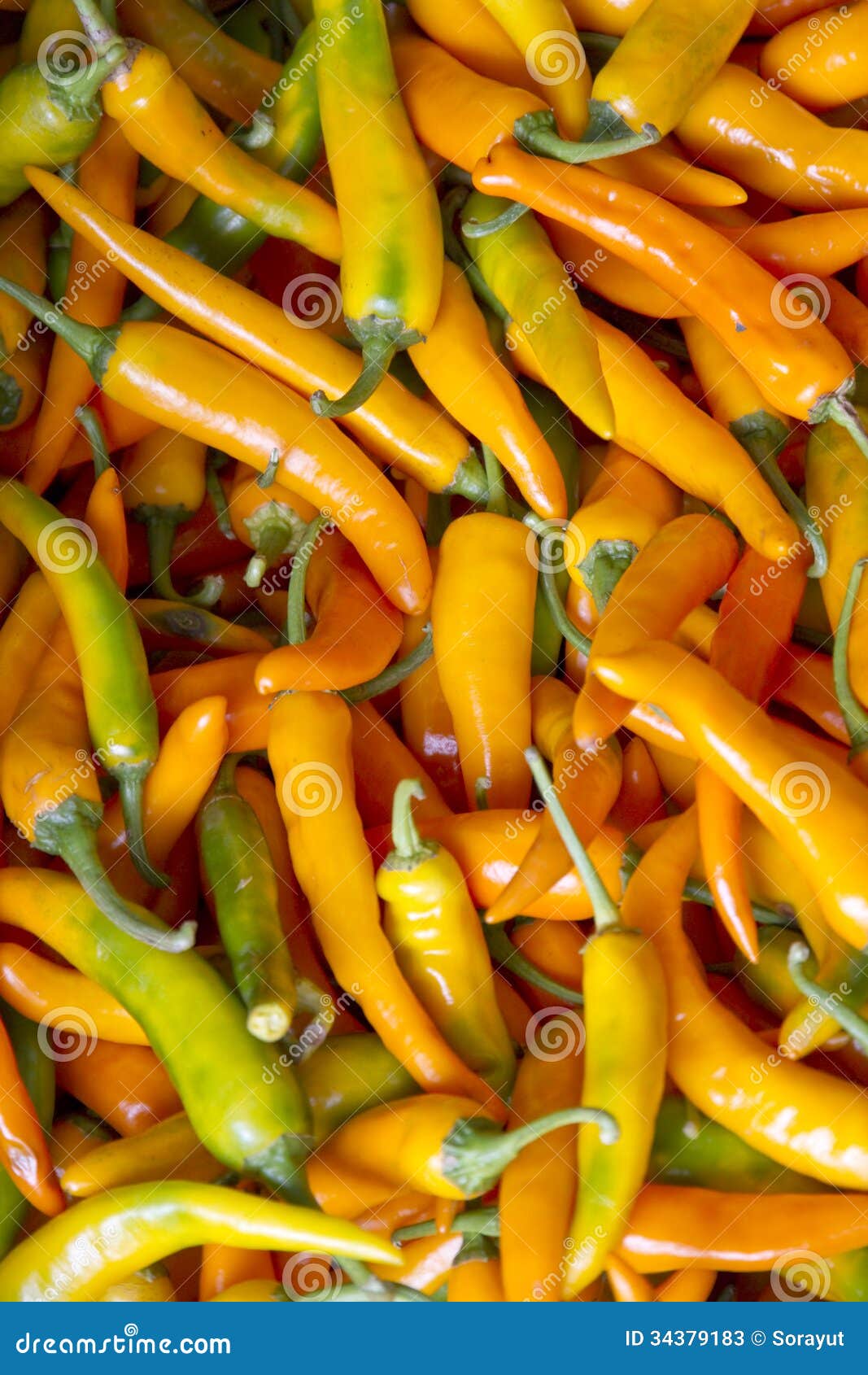 Paprika stock image. Image of eating, seasoning, ingredient 34379183