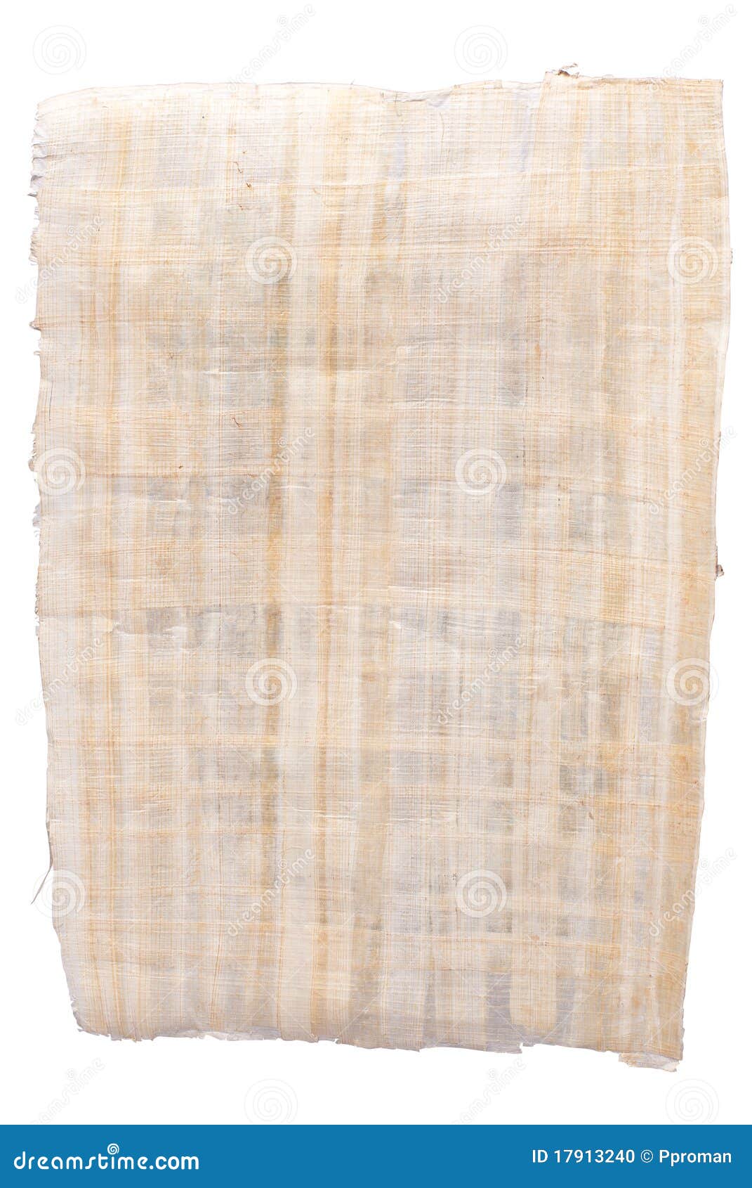 A papyrus, isolated on white