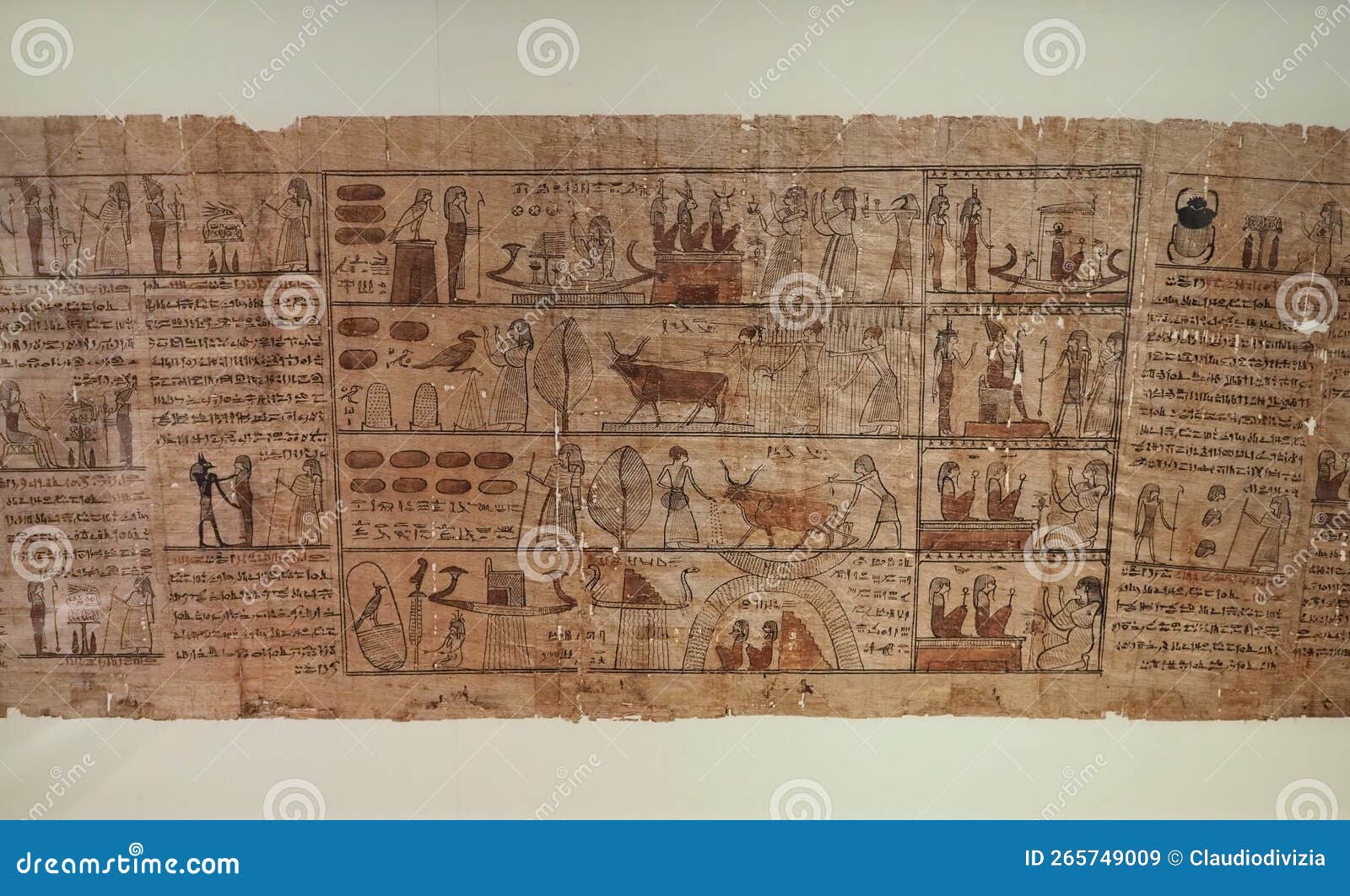 Papyrus At Museo Egizio Egyptian Museum In Turin Editorial Stock Image Image Of African