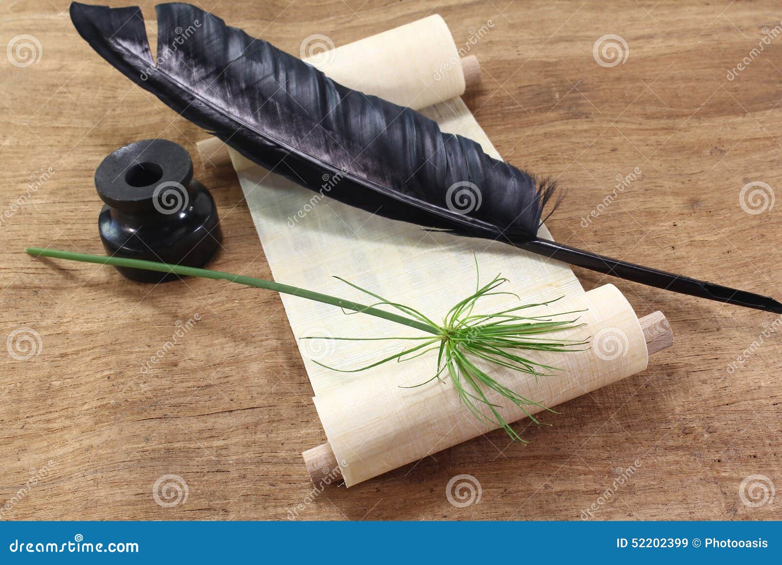 papyrus scroll with papyrus plant