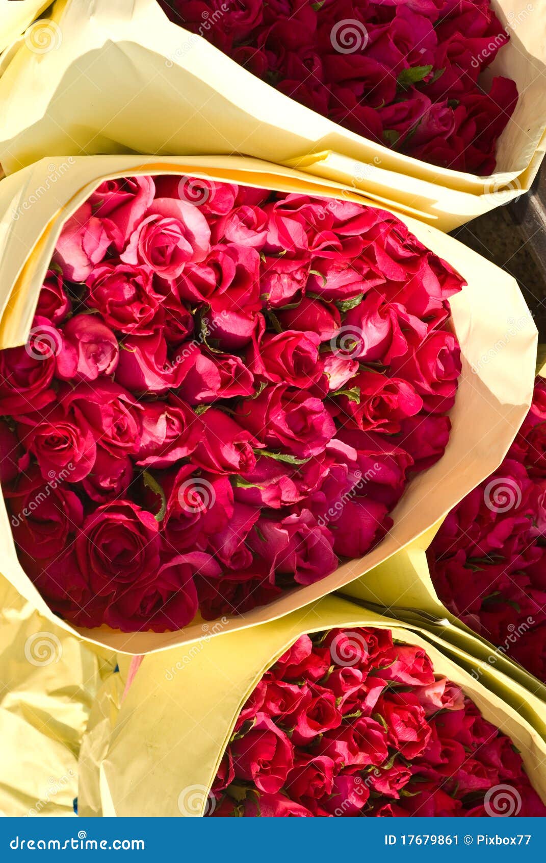 Paquet de fleur de Rose image stock. Image du achats - 17679861