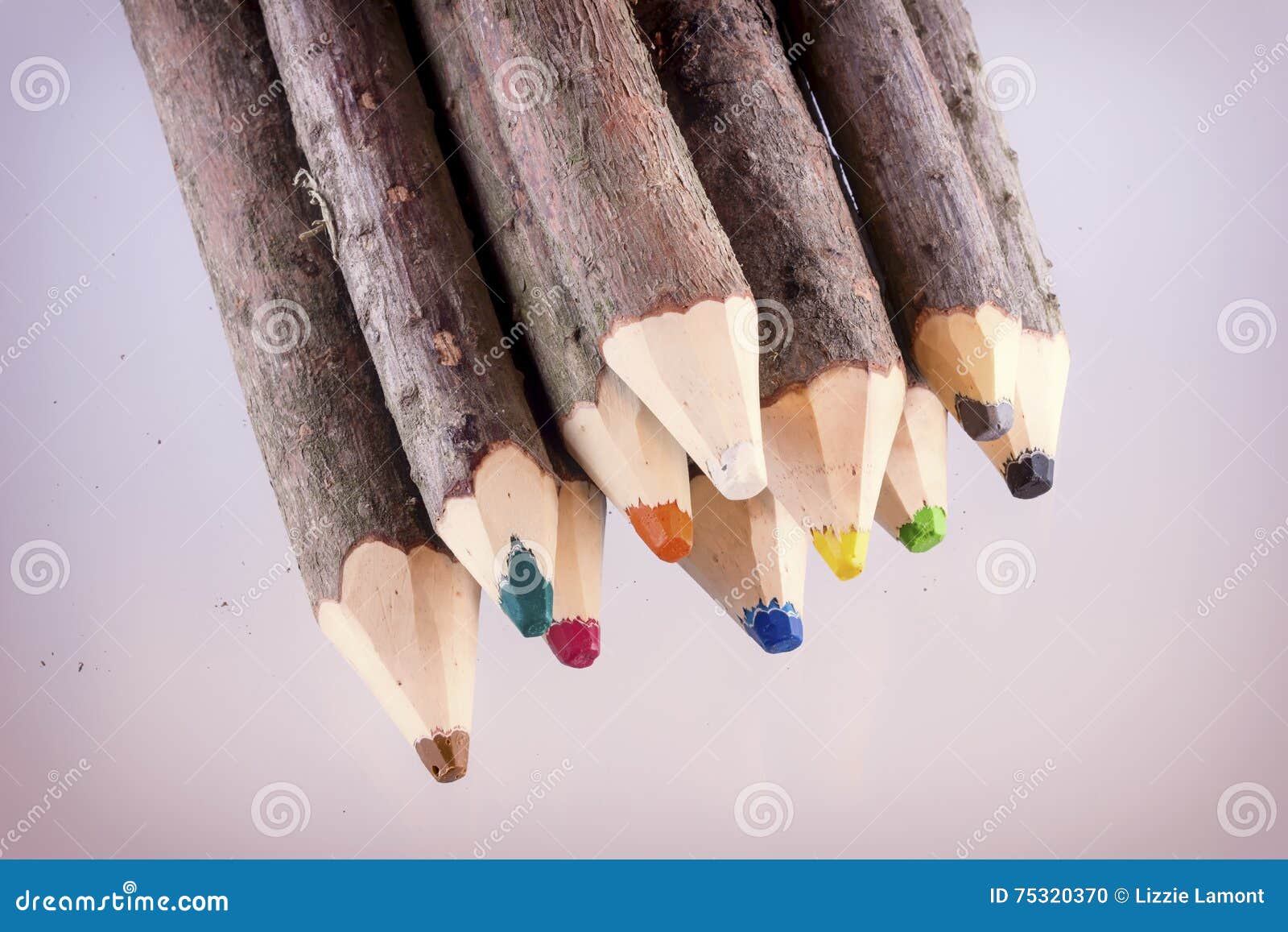 Paquet de grands crayons colorés naturels. Aménagez la photo en parc de couleur des crayons de coloration faits à partir des branches d'arbre prêtes pour retourner à l'école