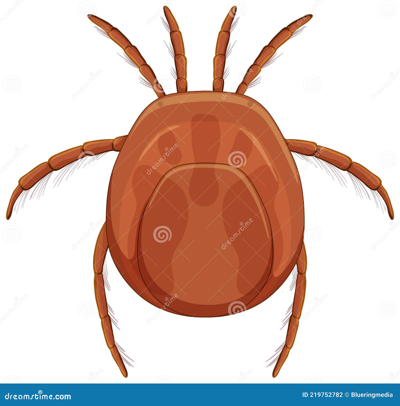 Parásito De La Sangre Garrapata En Estilo De Dibujos Animados Aislado Sobre  Fondo Blanco Ilustración del Vector - Ilustración de animal, fondo:  219752782