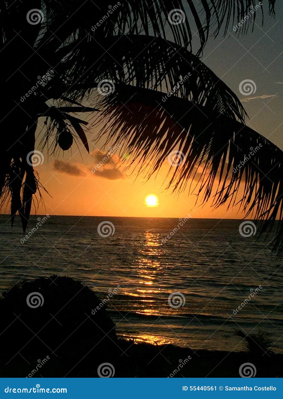 Paraíso do bom dia imagem de stock. Imagem de sair, sobre - 55440561 Paraíso do bom dia imagem de stock. Imagem de sair, sobre - 55440561