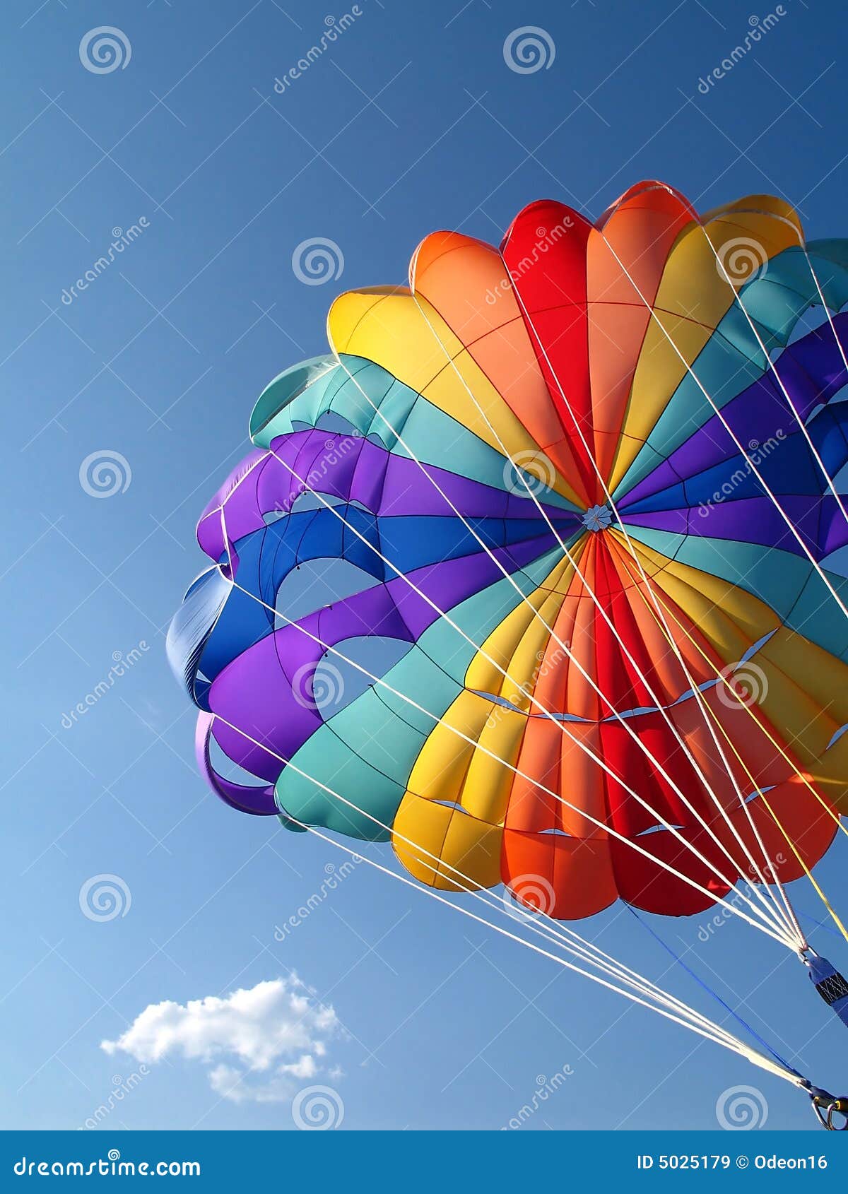 parachute detail