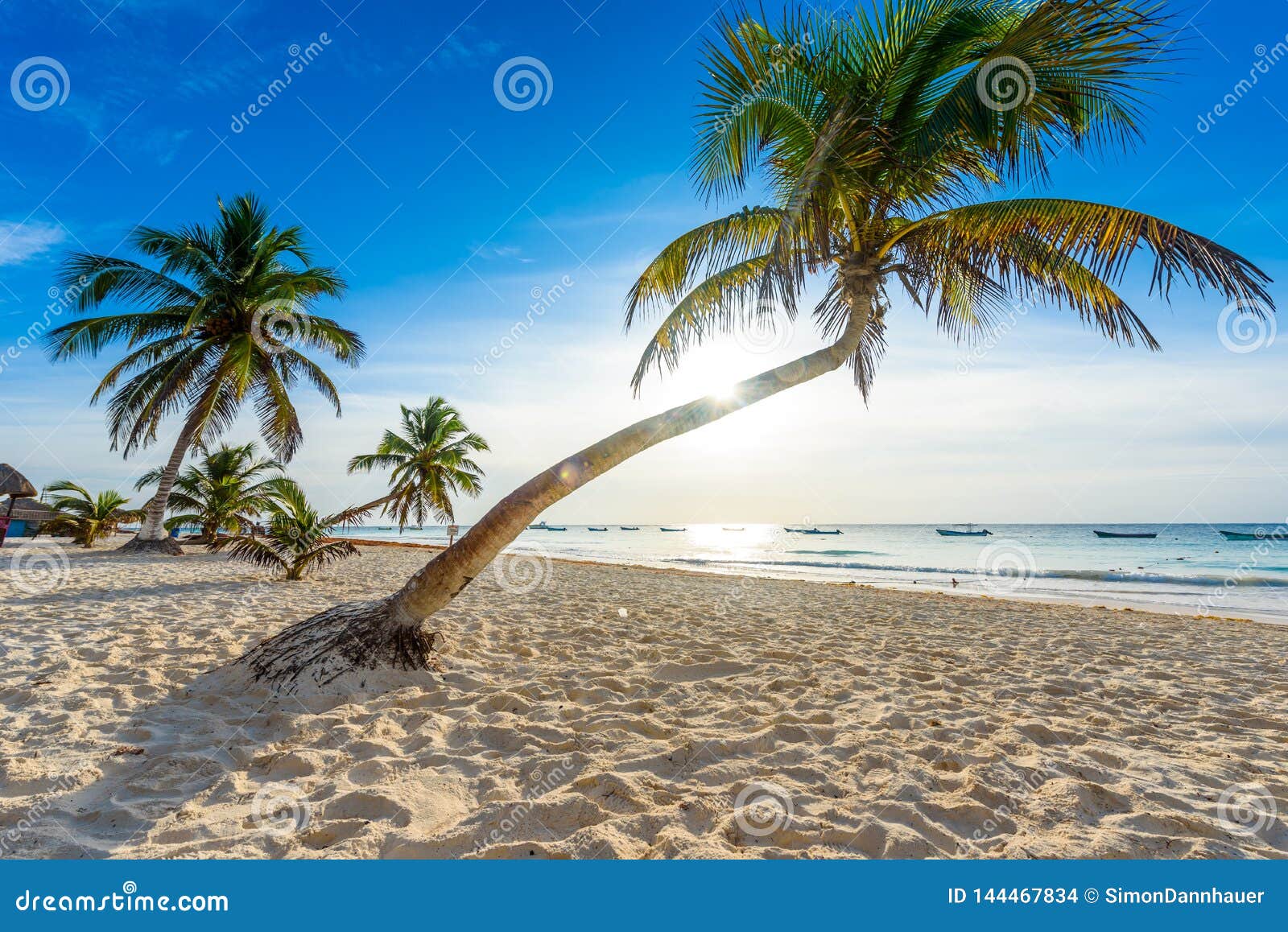 Paradise Beach Also Called Playa Paraiso at Sunrise - Beautiful and Tropical Caribbean Coast of Tulum in Quintana Roo, Riviera Stock Photo - Image of blue, relax: 144467834 Paradise Beach Also Called Playa Paraiso at Sunrise - Beautiful and Tropical Caribbean Coast of Tulum in Quintana Roo, Riviera Stock Photo - Image of blue, relax: 144467834